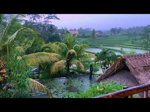 Tropical Rain Sounds With Rolling Thunder In Bali Thunderstorm Sounds For Relaxing Sleep Aid