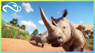 Beautiful White Rhino | Habitat Build | Planet Zoo | Tjaru 02