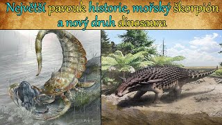 Největší pavouk historie, mořský škorpión a nový druh dinosaura