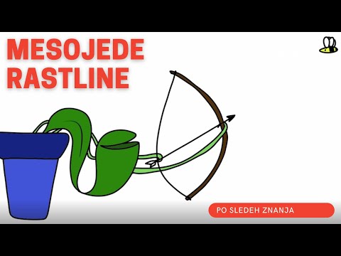 Video: Mesojede Rastline Za Dom