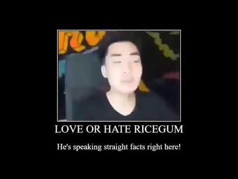love-him-or-hate-him-meme-(ricegum)