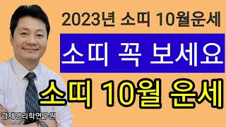 소띠운세/ 종합운 금전 건강 연애  소띠의 2023년 10월운세입니다  85년생 73년생 61년생 49년생 …