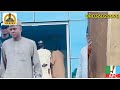 DAUSHE SARKIN YAKIN INUWA GOVERNOR GOMBE 