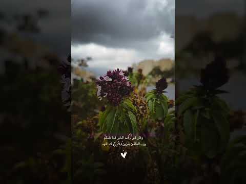 وظني فيك ياربي كبير اللهم بشرنا بما يسرنا وكف عن ا مايضرنا يارب اقتباسات اكسبلور كلام من ذهب