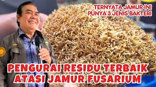 Download Lagu Belajar Lebih Dalam Tentang Jamur Jakaba, Pupuk Organik Penetral Residu MP3