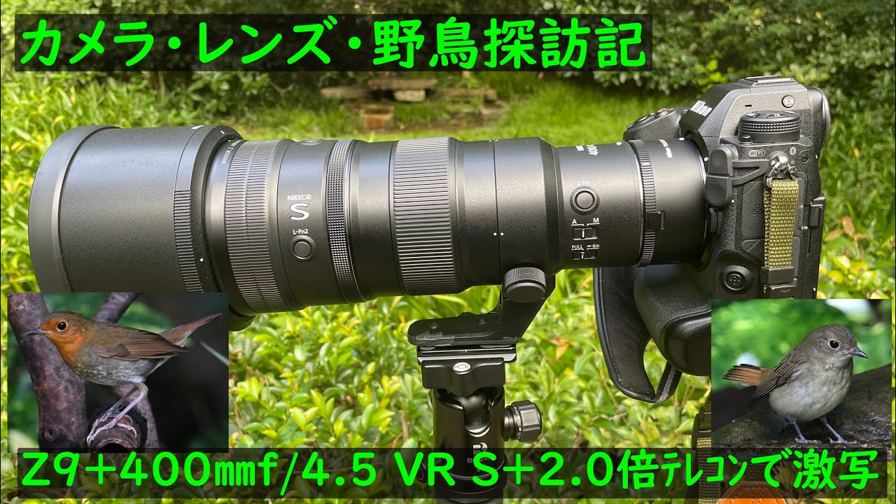 カメラ・レンズ・野鳥探訪記 Z400㎜f4 5Sレンズ+2.0倍テレコン装着で