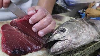 The Tuna King Reigns at Tsukiji Fish Market — Omakase Japan / Juzin - 食べ物