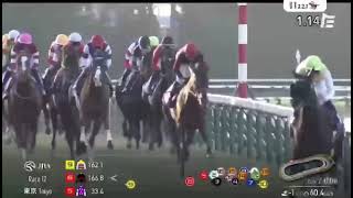 Calandagan Wins The Japan Cup 2025