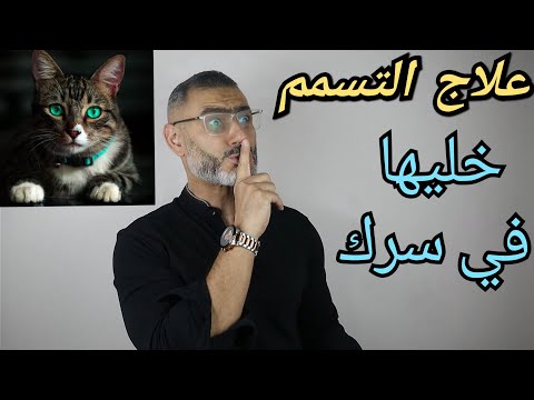 فيديو: ما الذي يسبب التسمم في القطط؟