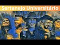 Sertanejo Universitário 2024: Seleção das Melhores