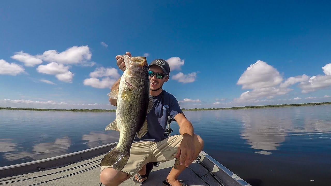 Bugs Pushed Me To Find This Big Bass! Lake Kissimmee Bass Fishing