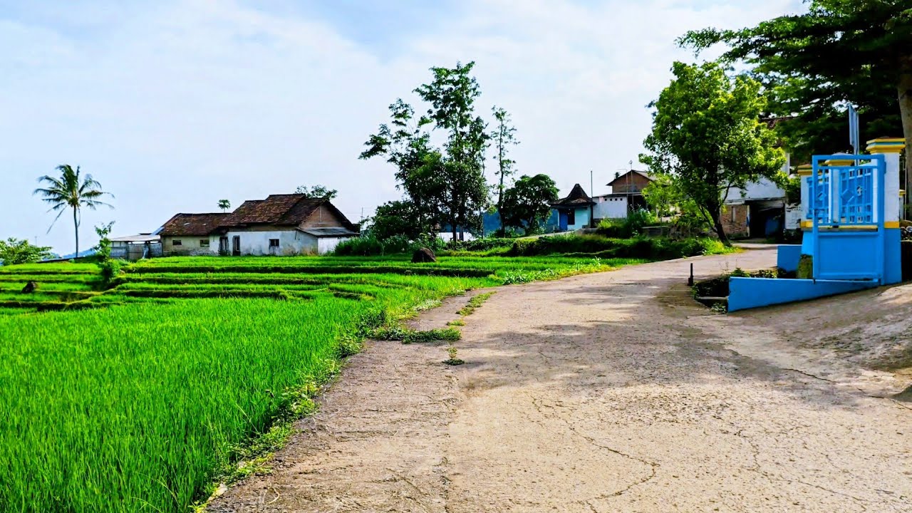 Bikin Meronta Orang Kota‼️Suasana Desa Yang Indah Dan Asri Dengan Udara Yang Sejuk Menyegarkan
