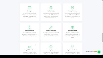 Bluerack - Modern Hosting WordPress Theme with WHMCS 14 illustration Website Builder
