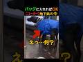 バッグに入れればOK、ニューヨーク地下鉄の今