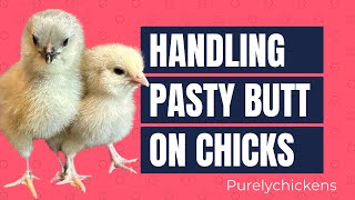 Pasty Butt on Chicks