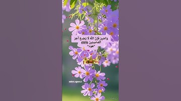 وَاصْبِرْ فَإِنَّ اللَّهَ لَا يُضِيعُ أَجْرَ الْمُحْسِنِينَ (115) 🍃✨#سورة_هود #القرآن_الكريم
