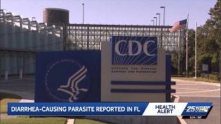 Infectious disease expert weighs in on parasite causing 'explosive diarrhea'