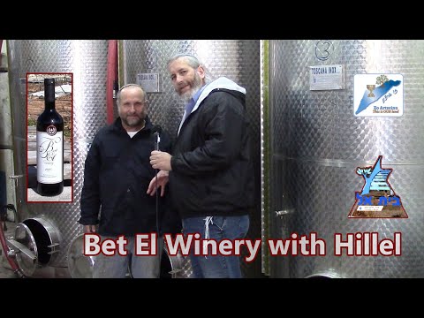 Bet El Vineyard