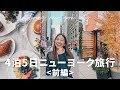 【日英vlog】初めてのニューヨーク！｜観光スポットのレベルが高すぎた｜カリフォルニアと違いすぎてもはや異国