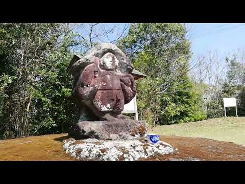 宮崎県都城市の桜（2025年4月）
