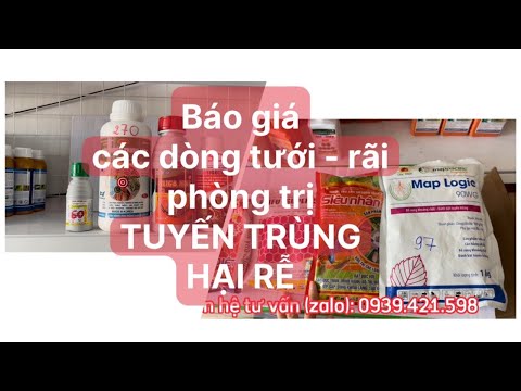 Video: Quản lý tuyến trùng tổn thương gốc - Tìm hiểu cách ngăn ngừa tuyến trùng tổn thương