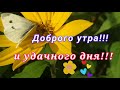 ФУТАЖ  ДОБРОЕ УТРО Доброго утра и удачного дня!!! С добрым утром! Красивая видеоткрытка Доброе Утро☕