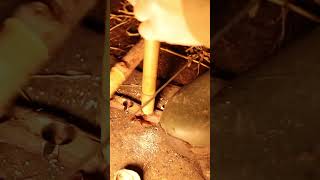 How To Create Fire In The Wild  #bushcraft   #fire   #survival