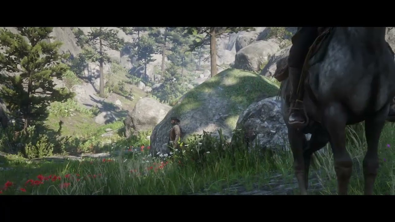 Red Dead Redemption 2_20260225174811