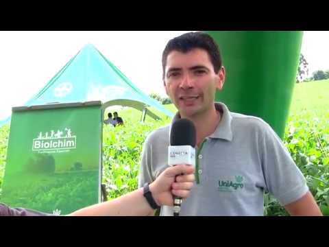 entretenimento para casamento Nossa Terra Dia de Campo Agropecuária Dall'Agnol