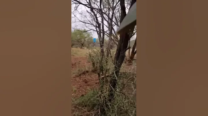 Ty Burcham scares nanas deer