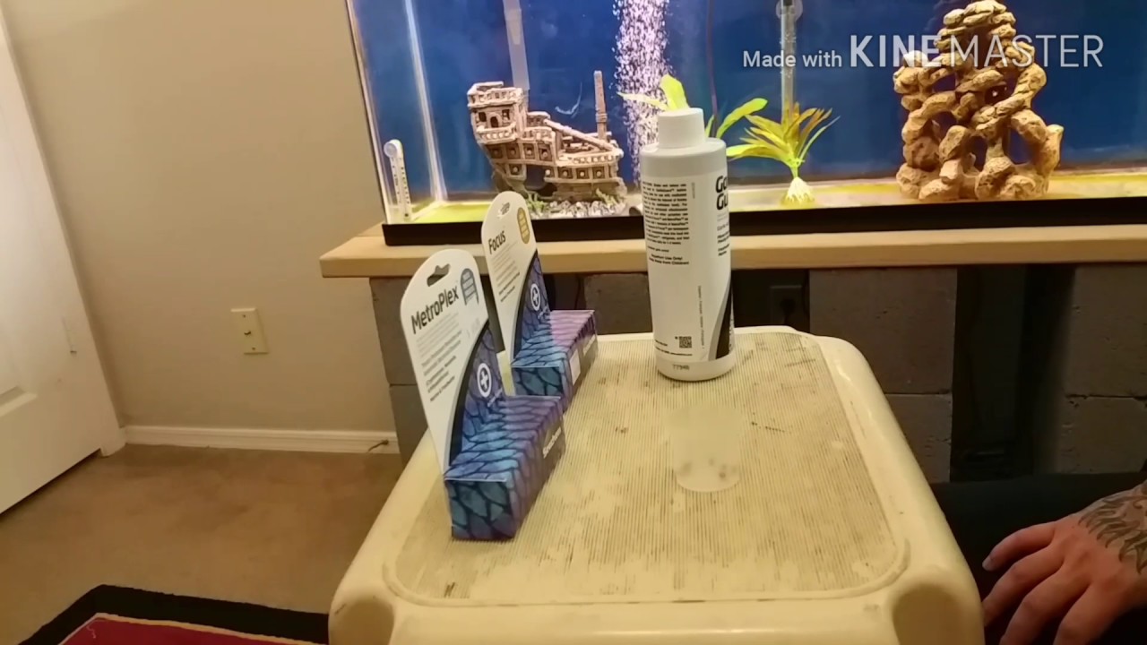 First Shot At Internal Parasites, MetroPlex Focus Garlic Guard Seachem