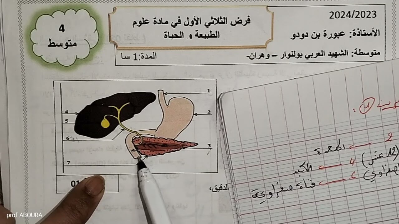 تمرين رائع عن التغذية عند الإنسان