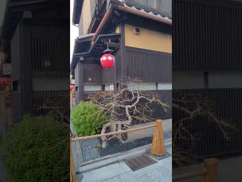 花見小路 #京都 # hanamikoji-dori #kyoto #japan #japanesefood