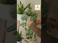 Video 16 Balcony Garden Reset rental safe #16 - Tiny Space Transformation