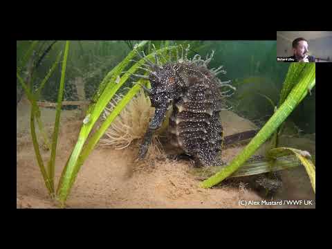 Project Seagrass Dr Richard Lilley 