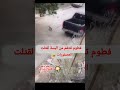 فطوم البسة قتلت العصفورات 