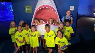 Splash Camp 2026 - Week 2 Recap Video!