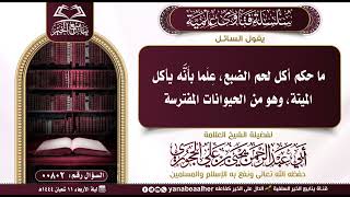 802-ما حكم أكل لحم الضبع،علما بأنه يأكل الميتة، وهومن الحيوانات المفترسة؟العلامة يحيى بن علي الحجوري