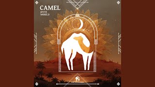 Download Lagu Camel Download Lagu Camel