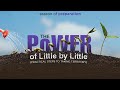 The Power of Little by Little with Dr. Sola Fola-Alade