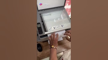 Pin (BFB) #shorts #tempo #bfb #bfdi #tempoapp