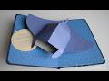 pop-up card__Manta Ray
