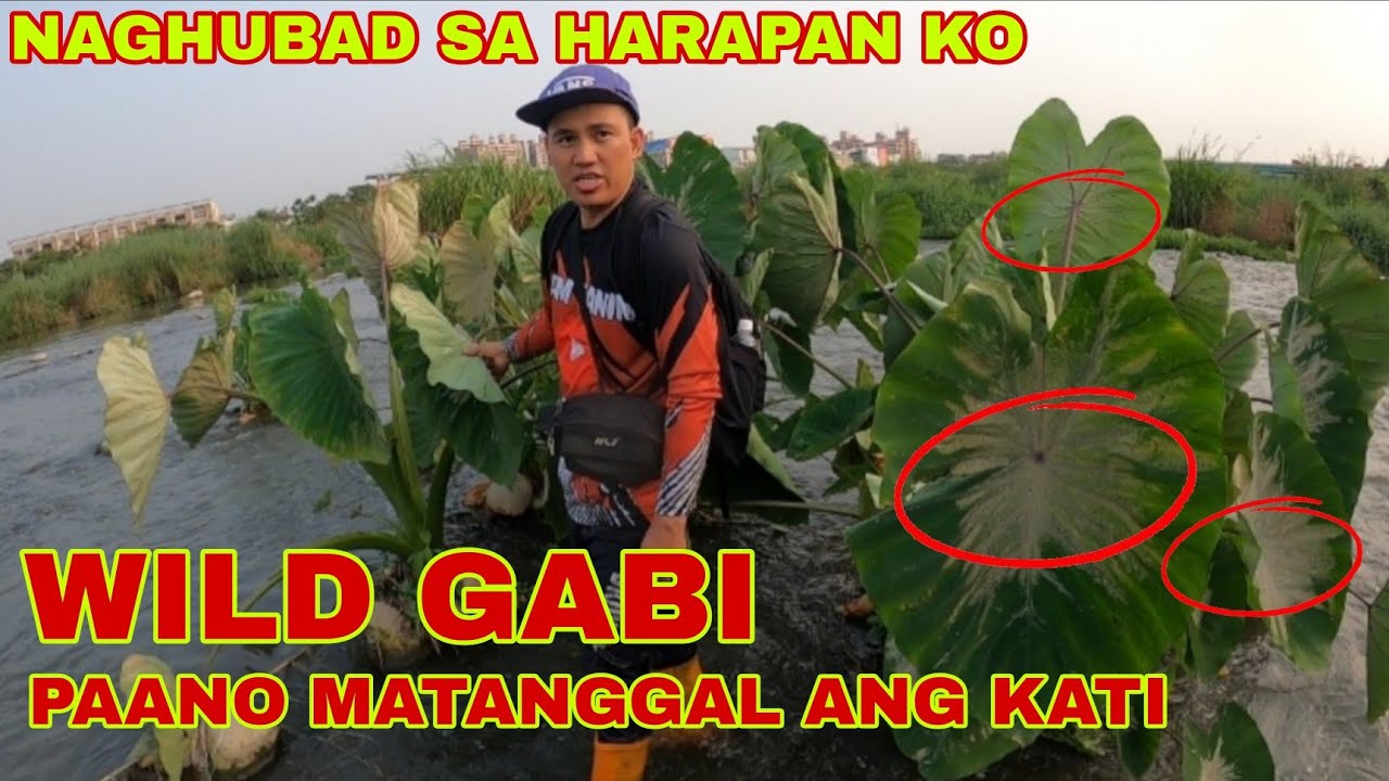 ANONG SAL*T DUMAAN DITO  BAKIT GANITO DAHON NILA? + PAANO ALISIN ANG MGA MAKAKATI