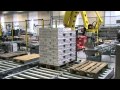 Fully automatic robot palletizing system