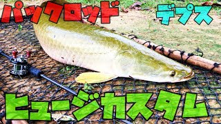 ピラルクをねじ伏せる！怪魚パックロッド デプス ヒュージカスタム Ｈ２Ｎ－６４Ｒ！