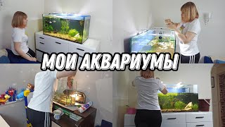 Мои аквариумы🌺 Чистка аквариума своими руками🌺