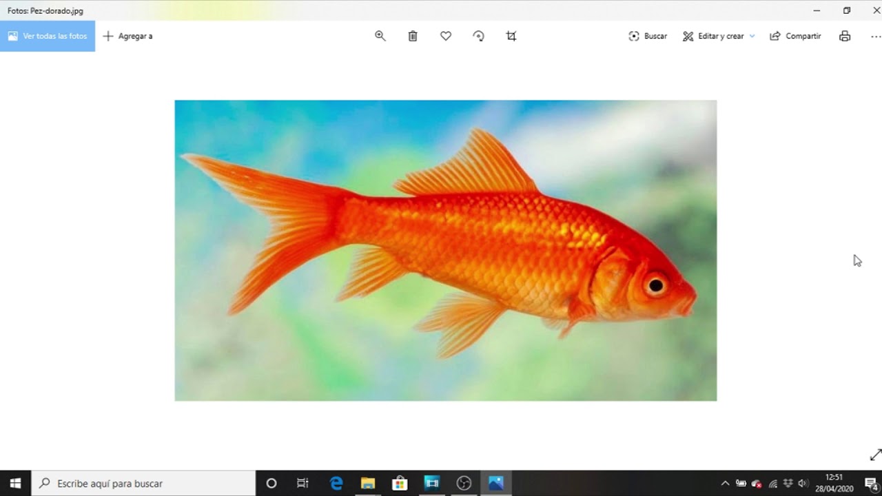 LOGOPEDIA PARA FAMILIAS #5: Construcción de oraciones (Parte 1)