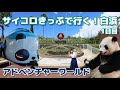 パンダくろしお号で行く！南紀白浜旅行＜1日目＞｜和歌山アドベンチャーワールド