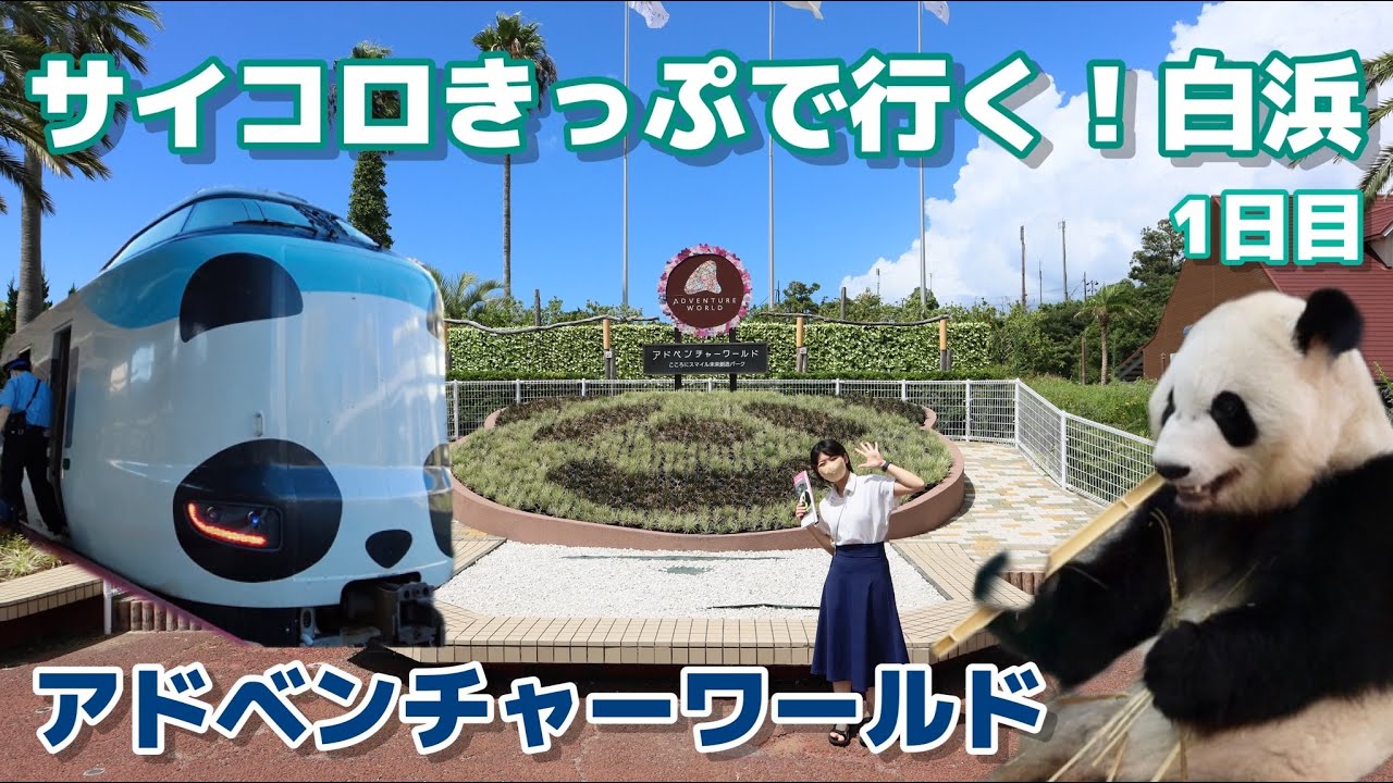 パンダくろしお号で行く！南紀白浜旅行＜1日目＞｜和歌山アドベンチャーワールド