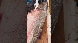 Watch the precision! The ultimate guide to skinning fish. #precision #culinary #meat #viral #fish
